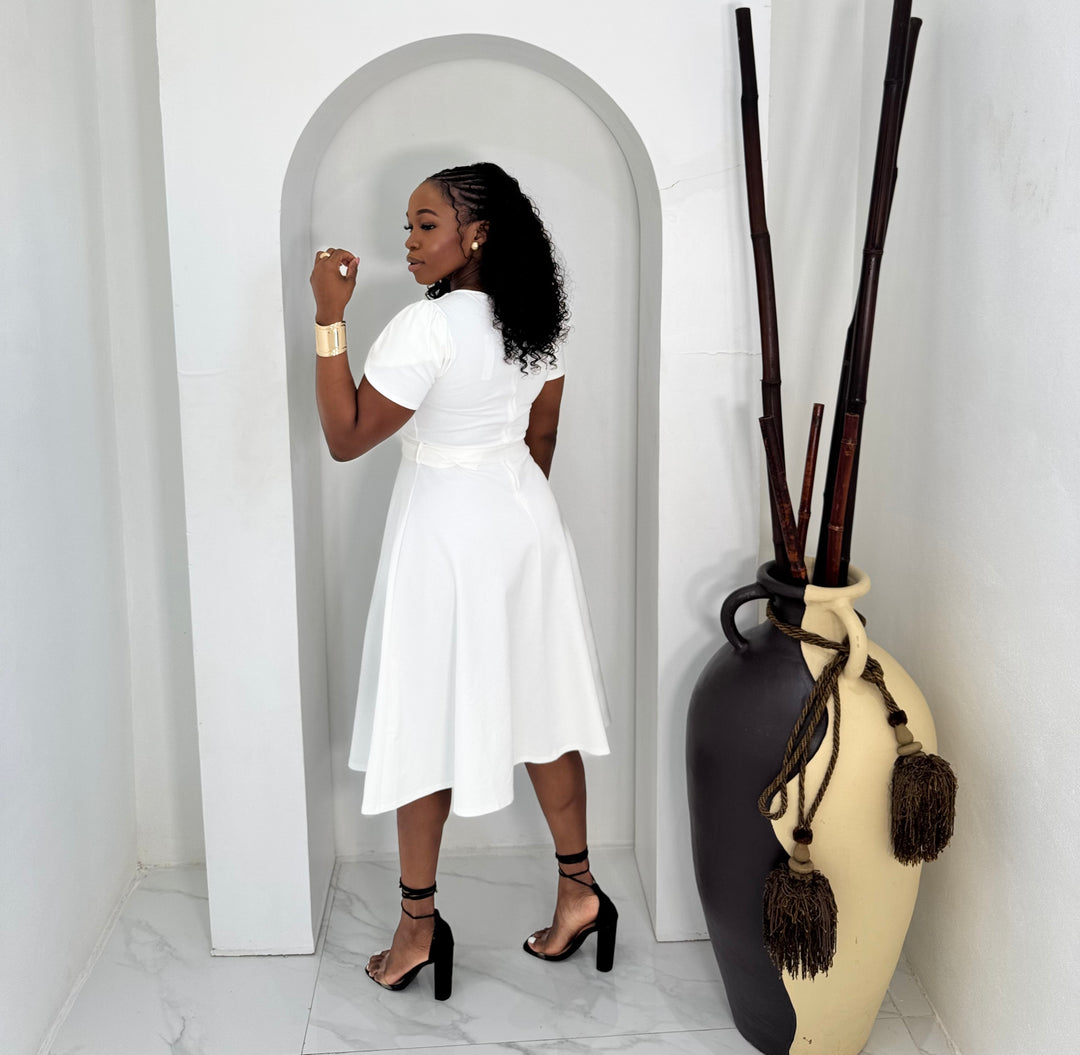 The Valedicta Flair Midi dress