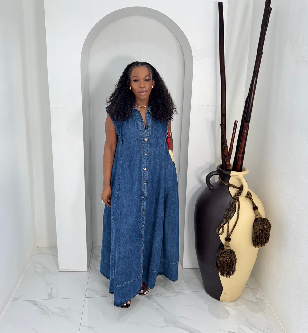 Deyne Denim Dress