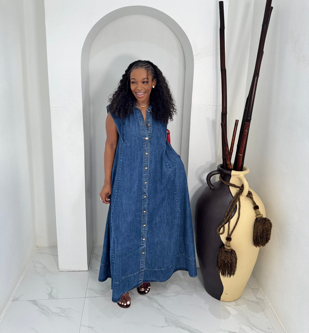 Deyne Denim Dress