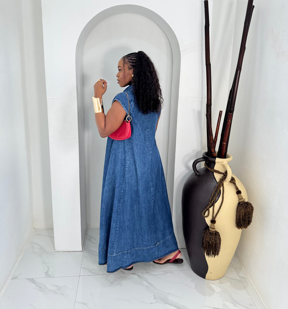 Deyne Denim Dress