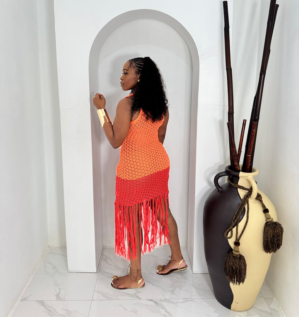 Rouxen two tone crochet tassel dress