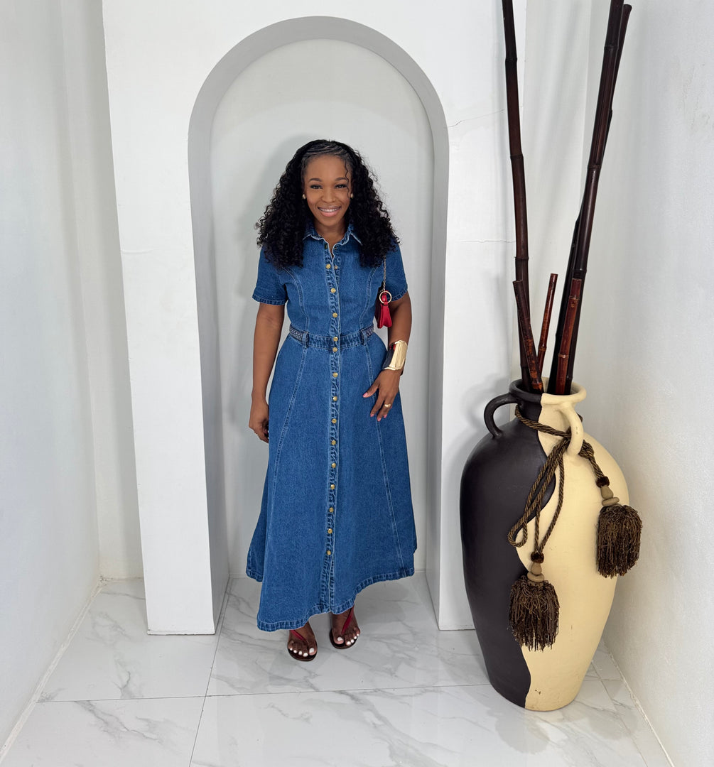 Bella Blu denim dress