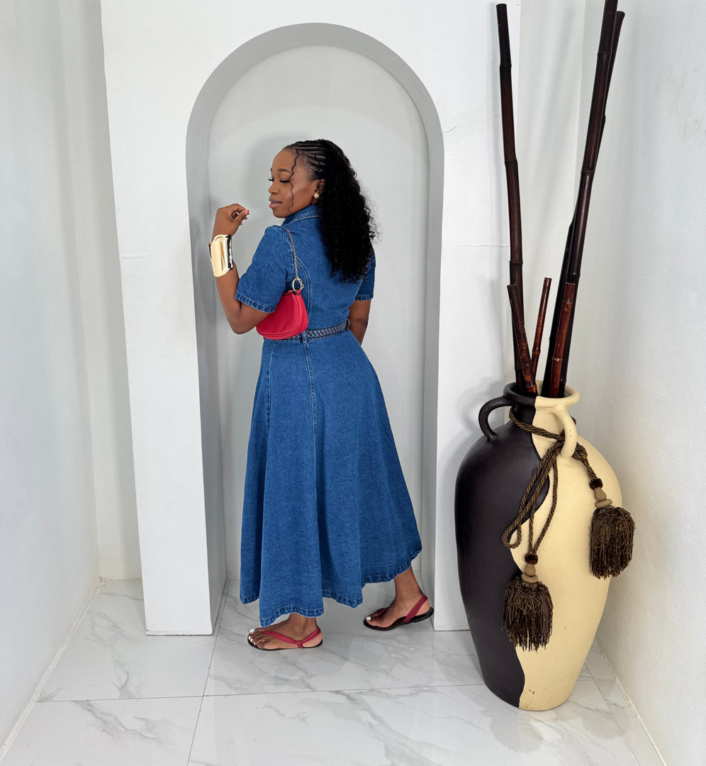 Bella Blu denim dress