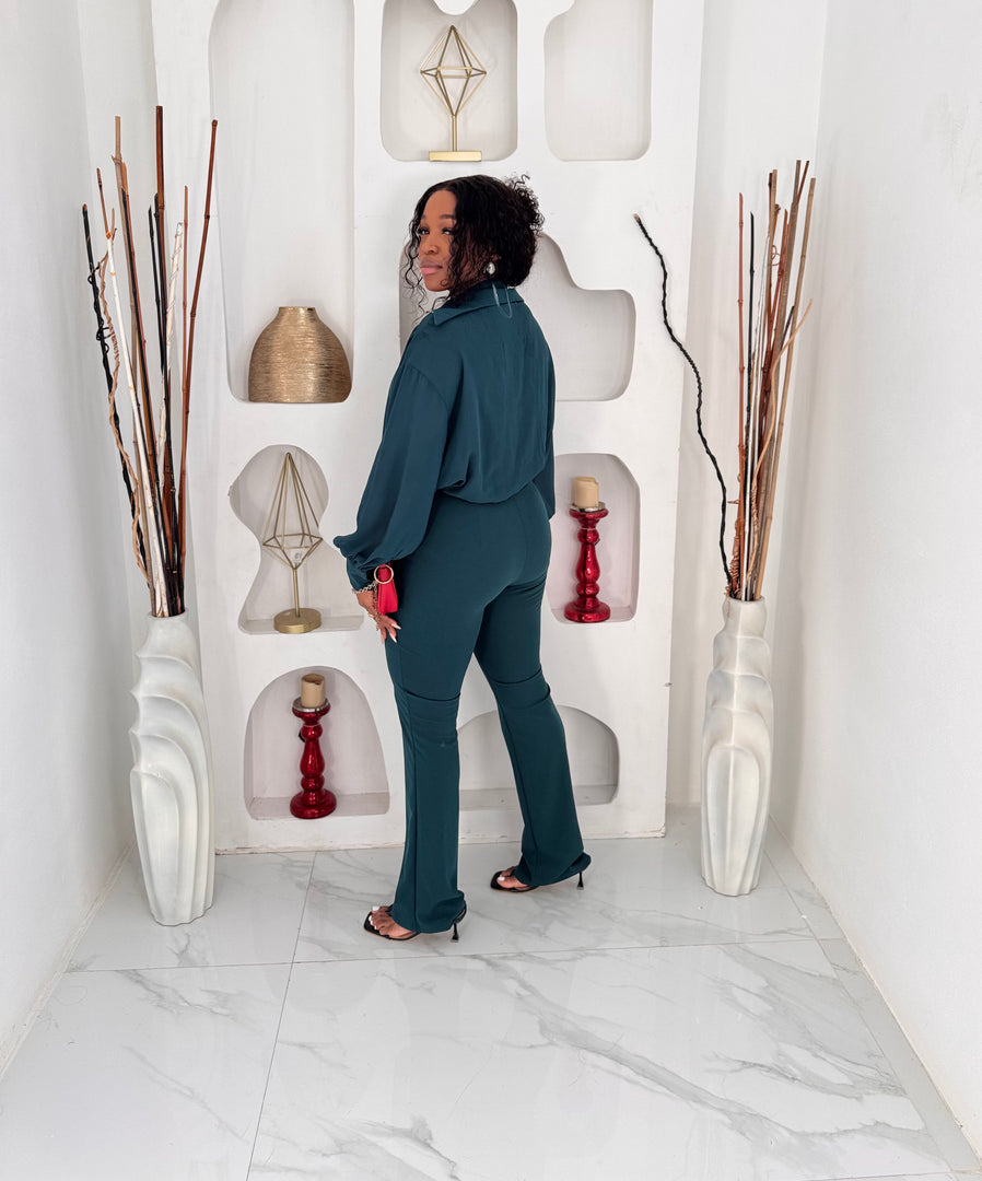 Bellarose deep plunge jumpsuit