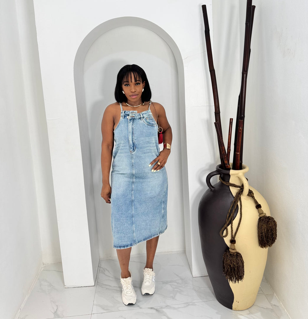 Vyne denim dress
