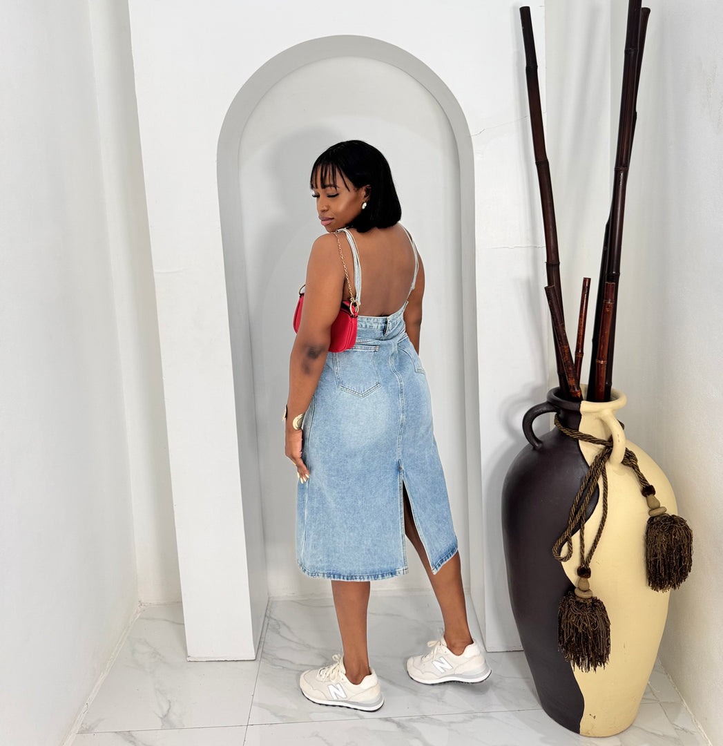 Vyne denim dress